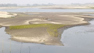 নাব্যতা সংকটে পানিশূন্য নদী, হুমকির মুখে জীববৈচিত্র্য