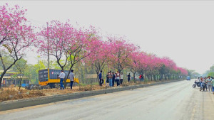 মহাসড়কে টিকটক ভিডিও ঠেকাতে পুলিশের টহল জোরদার