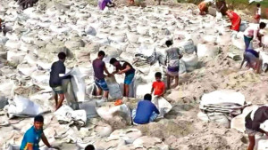 পদ্মা তীর রক্ষা বাঁধের ১৩ হাজার জিওব্যাগ লুট