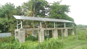 মানিকগঞ্জে সোলার পাম্প অচল, ডিজেল সংকটে বিপাকে কৃষক