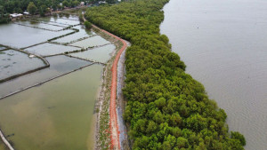 সাতক্ষীরার উপকূল বদলে দিচ্ছে ‘ফ্রেন্ডশিপ’