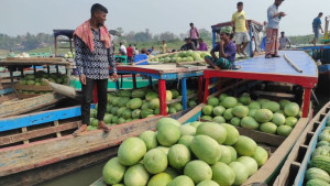 ক্রেতা সংকটে ভেঙে পড়েছে তরমুজের বাজার