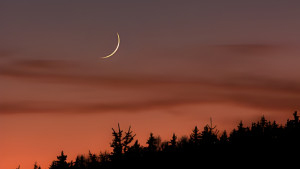 সৌদিসহ আরব দেশগুলোতে ঈদের চাঁদ দেখার বিষয়ে যা জানা গেল