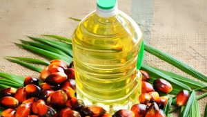 ১ কোটি লিটার পাম তেল কিনছে সরকার
