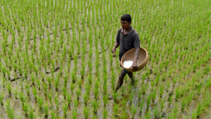 ইরান যুদ্ধ: সারের সংকটে আকাশছোঁয়া হতে পারে খাবারের দাম