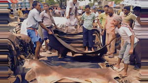 কোরবানির পশুর চামড়ার দাম বাড়ল