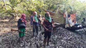 পূর্ব সুন্দরবনে জাহাঙ্গীর বাহিনীর তাণ্ডব: ট্রলারসহ ১২ জেলে অপহরণ