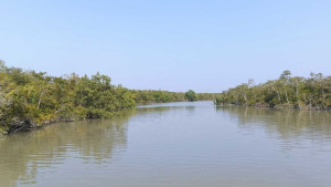 সুন্দরবনে দুইদিনে ২২ জেলে অপহরণ