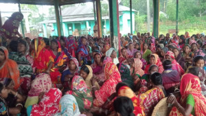 অনিদিষ্টকালের কর্মবিরতি ৪ চা বাগানে