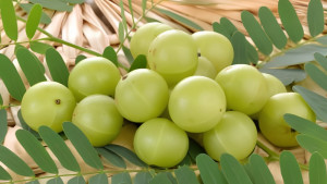 আমলকীর জাদুকরী ৫ গুণ