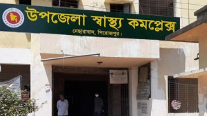 ঝড়ে গাছ পড়ে প্রাণ গেল গৃহবধূর