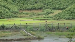 সীমান্তে স্থলমাইন বিস্ফোরণ, প্রাণ গেল ৩ বাংলাদেশির