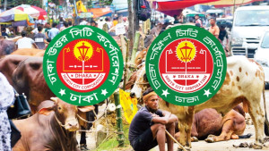 ঢাকা সিটিতে কোরবানির বর্জ্য অপসারণে প্রস্তুতি