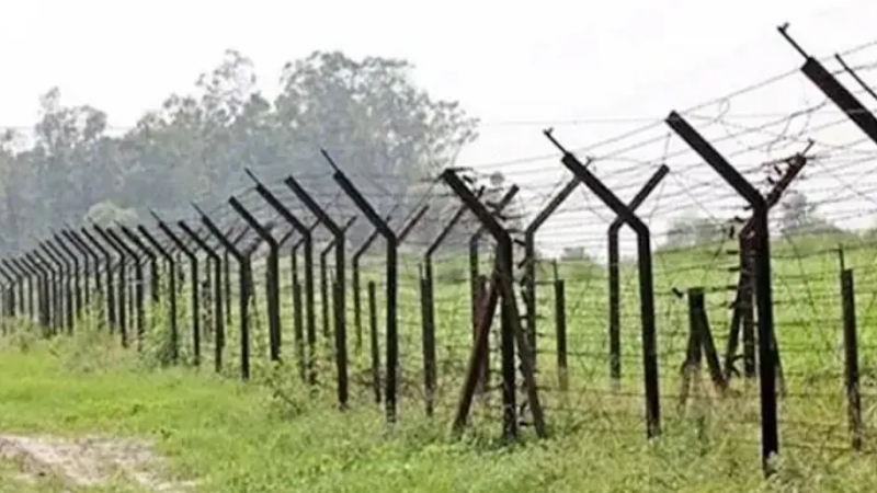 বিএসএফের গুলিতে দুই বাংলাদেশি নিহত, আহত ২০