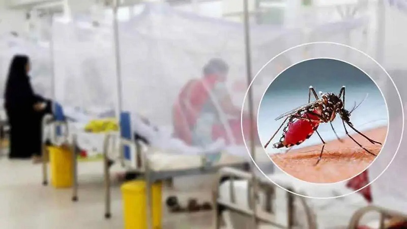 ডেঙ্গুতে আরও ৮ জনের মৃত্যু, হাসপাতালে ভর্তি ১৮৬০